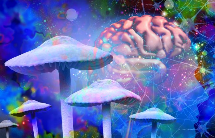 El asombroso mundo de los hongos 'mágicos' que alteran la conciencia