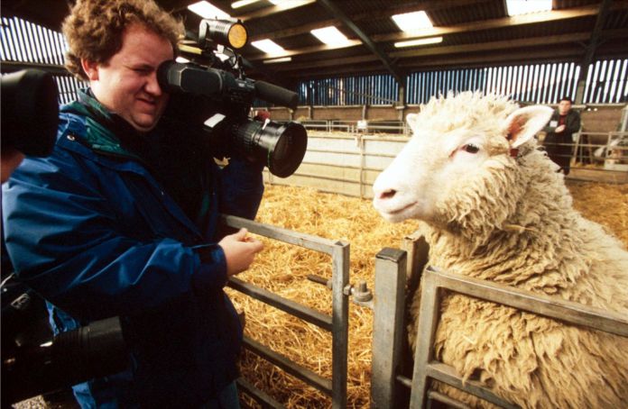 La oveja Dolly: el legado de la primera clonación exitosa de un mamífero